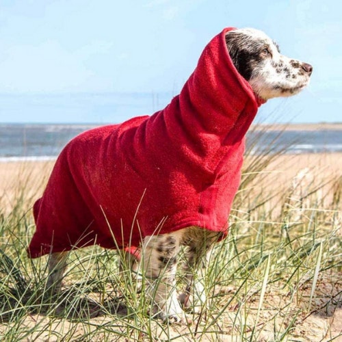 The best dog drying coats to keep your wet pup cosy Home What's The